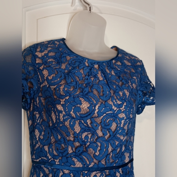 ADRIANNA PAPELL Dark Romantic Blue Lace Dress Burnout Floral Details(#1,031) - Picture 4 of 9